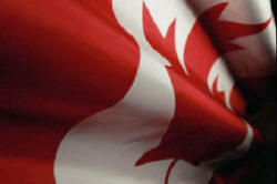 FLAG